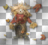Scarecrow leaves 