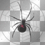 black spider spiderweb emo goth/²u