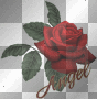 'angel' blood-red rose flower glitter/²u