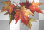 tree leaves leaf autumn/fall/²u