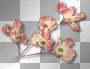 Flowers pink