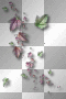 Leaves purple green Leaves purple green