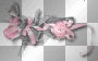 Flowers roses pink 