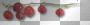 Branch fruits red 