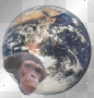 planet ape humanism