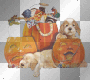 HALLOWEEN PUMPKIN DOG CANDYS DECO