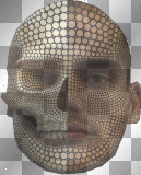 artemia transparent graphic-design man-face-half-skull