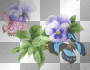 flor
