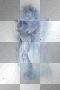 winter snow maiden  