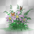 flor