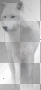 WINTER ZIMKA TRANSPARENT  DECO 