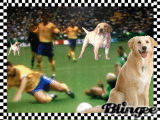 air buds!!