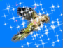 for parot lady