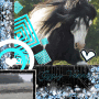 Gypsy vanner horses<333