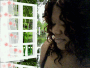 Summer Breeze Summer Breeze