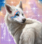 SpiritOfWolf SpiritOfWolf