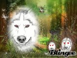 The Way Of The Wolf