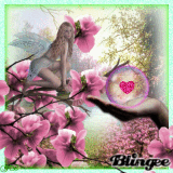 ♥ Cadeau ♥