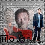 DR HOUSE