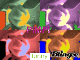 pimpi