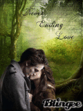 Bella+ Edward