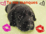 womenVIP