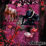 Twilight Romance