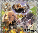 deco hello my friend