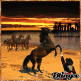 icon for challenge horses