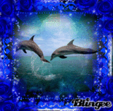 Dolphin