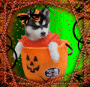 cute halloween dog cute halloween dog