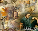tom welling * classic!!