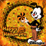 Halloweeny Yakko!!!!!