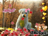 Chiot d'automne