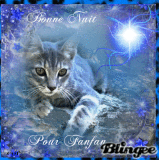 blnigee du soire pour  fanfan pour toouour et tout mes autre amis