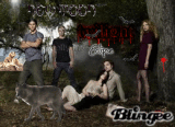 crepusculo... new moon
