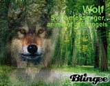 book club (spirit of animals by sylvia browne and chris dufresne)