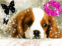 Is this or cute or what Is this or cute or what