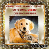 AMISTAD