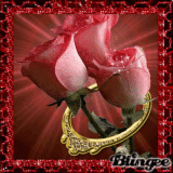 ROSAS Y ANILLO