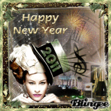 HAPPY NEW YEAR 2011