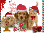 Cute New Year