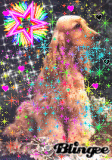 canina2244