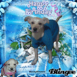 ♥ Happy Birthday,Boo..U'll Soon Be 2 ♥