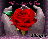 all my love