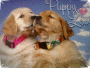 2 of my pups