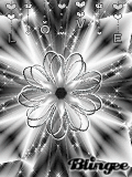 silver flower