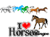 I <3 Horses