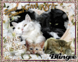 good night and sweet dreams my dear friends of blingee♥ p