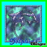 Dolphin blue and green!!!!!!!!!!!!!!!!!!!!!!!!!!!!!!!!!!!!!!!!!!!!